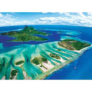 Eurographics (6000-5538) - "Coral Reef" - 1000 pezzi