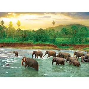 Eurographics (6000-5540) - "Rainforest" - 1000 pezzi