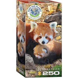 Eurographics (8251-5557) - "Red Pandas" - 250 pezzi