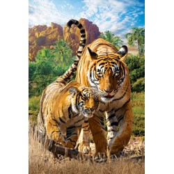 Eurographics (8251-5559) - "Tigers" - 250 pezzi