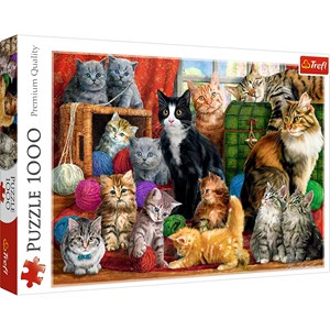 Trefl (10555) - "Cats Meeting" - 1000 pezzi