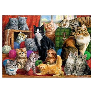 Trefl (10555) - "Cats Meeting" - 1000 pezzi