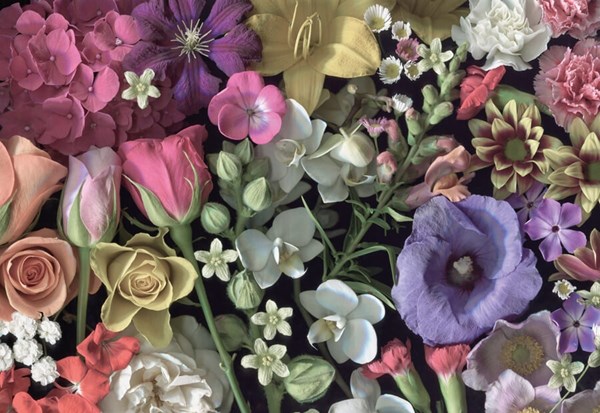 Cloudberries (33006) - "Flowers" - 1000 pezzi