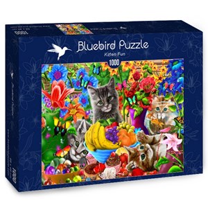 Bluebird Puzzle (70183) - "Kitten Fun" - 1000 pezzi