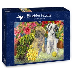Bluebird Puzzle (70068) - "Double Trouble" - 1000 pezzi