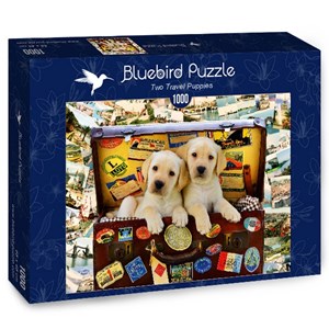 Bluebird Puzzle (70237) - "Two Travel Puppies" - 1000 pezzi