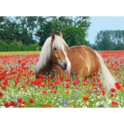 Ravensburger (14831) - "Horse in the Poppy Field" - 500 pezzi