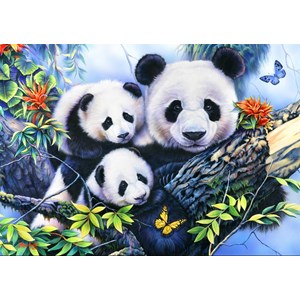 Bluebird Puzzle (70079) - "Panda Family" - 1000 pezzi