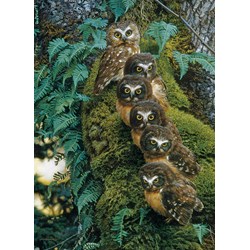 Cobble Hill (80018) - "Family Tree" - 1000 pezzi