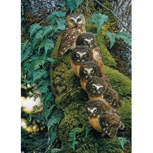 Cobble Hill (80018) - "Family Tree" - 1000 pezzi