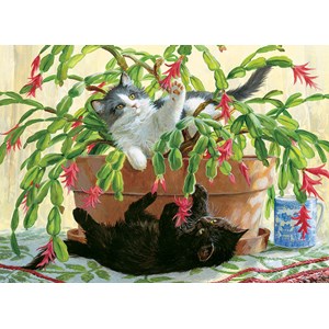 Cobble Hill (80031) - "Cactus Kitties" - 1000 pezzi