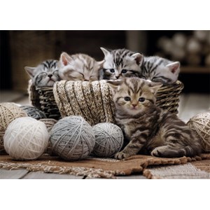 Nathan (877904) - "Kittens" - 1500 pezzi
