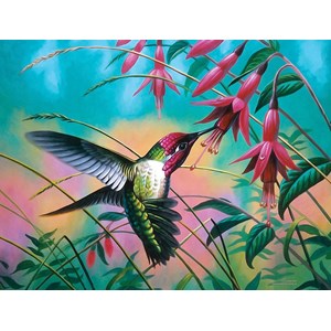 SunsOut (70941) - Cynthie Fisher: "Hummingbird Haven" - 500 pezzi