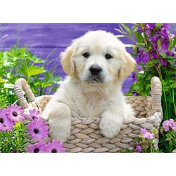 Ravensburger (14829) - "Sweet Golden Retreiver" - 500 pezzi