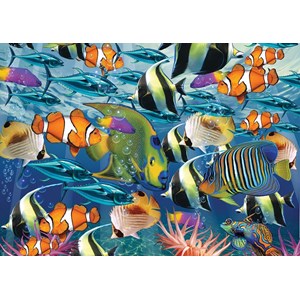Art Puzzle (4270) - "Multi Fish" - 260 pezzi