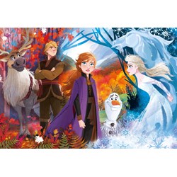 Clementoni (28510) - "Disney Frozen 2" - 24 pezzi