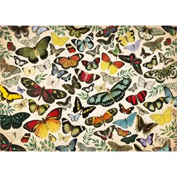Falcon (18842) - "Butterfly Poster" - 1000 pezzi
