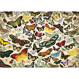 Falcon (18842) - "Butterfly Poster" - 1000 pezzi