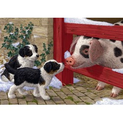 Jumbo (11080) - "Puppies and Pig" - 500 pezzi