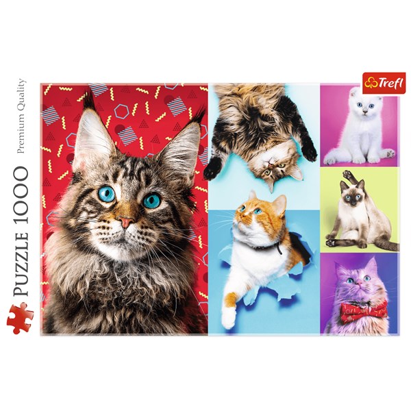 Trefl (10591) - "Happy cats" - 1000 pezzi