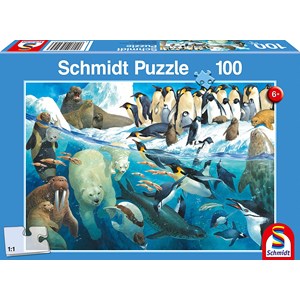 Schmidt Spiele (56295) - "Polar Animals Circle" - 100 pezzi