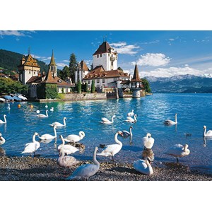 Schmidt Spiele (58367) - "Swans Shore" - 1000 pezzi