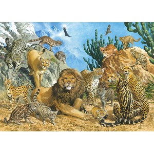 Schmidt Spiele (58372) - "Big Cats" - 500 pezzi