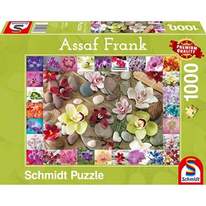 Schmidt Spiele (59632) - Assaf Frank: "Orchids" - 1000 pezzi