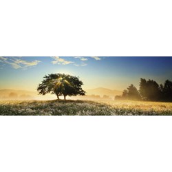 Heye (29901) - "Play of Light" - 1000 pezzi