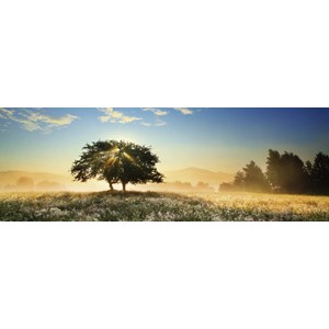Heye (29901) - "Play of Light" - 1000 pezzi