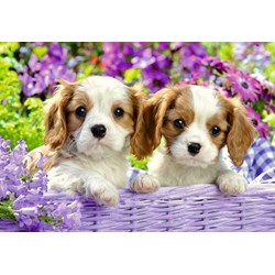 Ravensburger (05029) - "Me and My Pal" - 24 pezzi