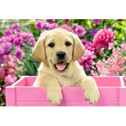 Ravensburger (05029) - "Me and My Pal" - 24 pezzi