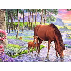 Ravensburger (13242) - "Serene Sunset" - 300 pezzi