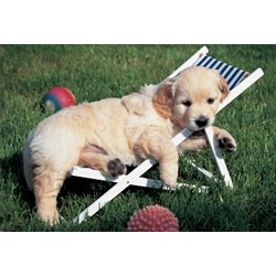 Ravensburger (14956) - "Easy Cuddly" - 204 pezzi