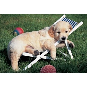 Ravensburger (14956) - "Easy Cuddly" - 204 pezzi