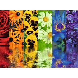 Ravensburger (16446) - "Floral Reflections" - 500 pezzi