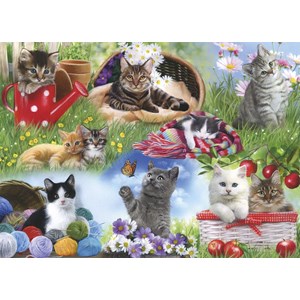 Gibsons (G2253) - "Cats" - 12 pezzi