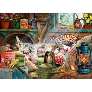 Gibsons (G6248) - Steve Read: "Snoozing in The Shed" - 1000 pezzi