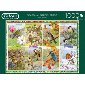 Falcon (11157) - "Seasonal Garden Birds" - 1000 pezzi