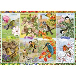 Falcon (11157) - "Seasonal Garden Birds" - 1000 pezzi