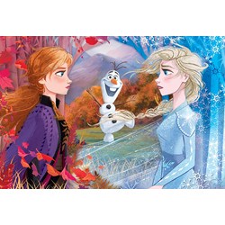 Clementoni (26452) - "Frozen 2" - 60 pezzi