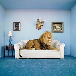 Clementoni (38500) - "The Master of the house" - 250 pezzi