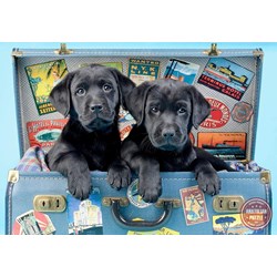 Anatolian (3601) - "The trunk with puppies" - 500 pezzi