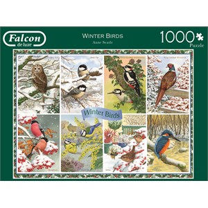 Falcon (11234) - Anne Searle: "Winter Birds" - 1000 pezzi