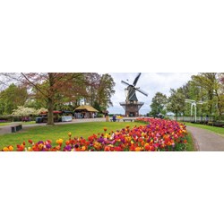 Jumbo (18517) - "De Keukenhof, Holland" - 1000 pezzi