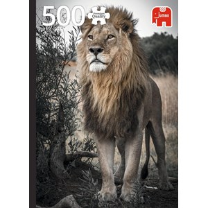 Jumbo (18523) - "Proud Lion" - 500 pezzi