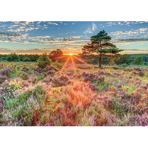 Jumbo (18524) - "Heather at Sunset" - 500 pezzi