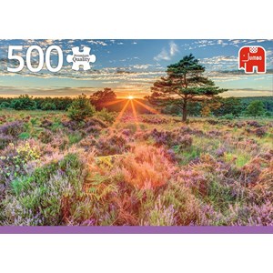 Jumbo (18524) - "Heather at Sunset" - 500 pezzi