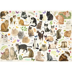 Jumbo (18595) - Francien van Westering: "Cats Poster" - 1000 pezzi