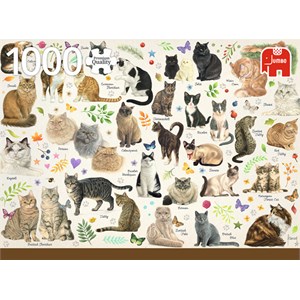 Jumbo (18595) - Francien van Westering: "Cats Poster" - 1000 pezzi